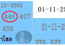 The Lucky number Old (446) And New For Lottery Thai 01/11/2566